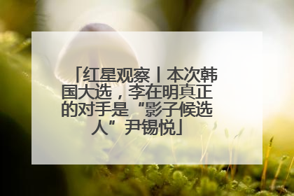 红星观察丨本次韩国大选，李在明真正的对手是“影子候选人”尹锡悦