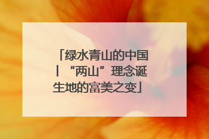 绿水青山的中国丨“两山”理念诞生地的富美之变