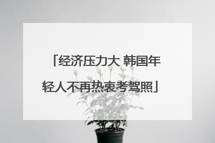 经济压力大 韩国年轻人不再热衷考驾照