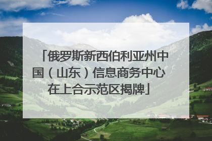 俄罗斯新西伯利亚州中国（山东）信息商务中心在上合示范区揭牌