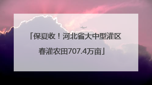 保夏收！河北省大中型灌区春灌农田707.4万亩