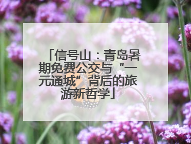 信号山：青岛暑期免费公交与“一元通城”背后的旅游新哲学