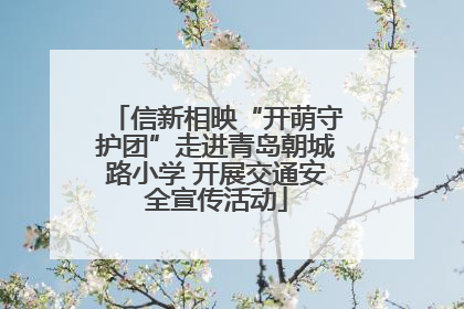 信新相映“开萌守护团”走进青岛朝城路小学 开展交通安全宣传活动