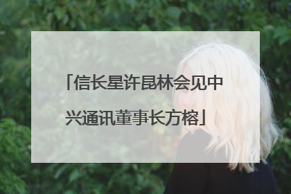 信长星许昆林会见中兴通讯董事长方榕