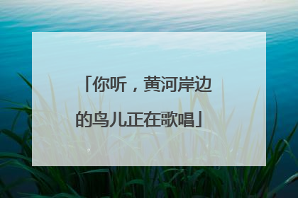 你听，黄河岸边的鸟儿正在歌唱