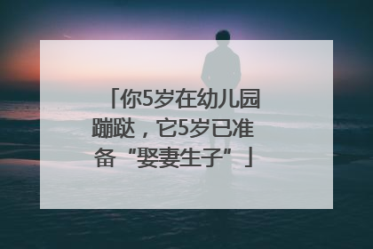 你5岁在幼儿园蹦跶，它5岁已准备“娶妻生子”
