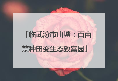 临武汾市山塘：百亩禁种田变生态致富园