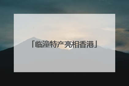临潼特产亮相香港