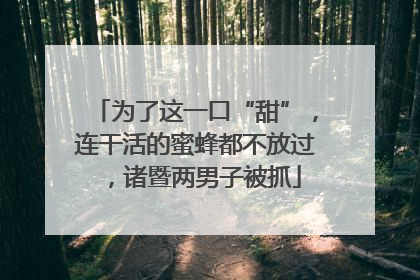 为了这一口“甜”，连干活的蜜蜂都不放过，诸暨两男子被抓