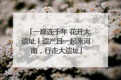 一廊连千年 花开大遗址丨遗产日一起来河南，行走大遗址