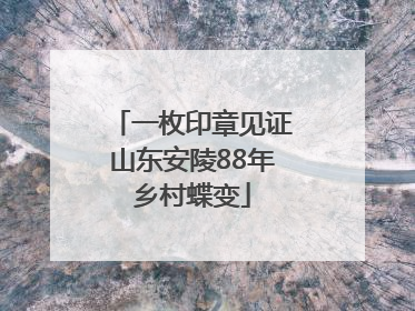 一枚印章见证山东安陵88年乡村蝶变