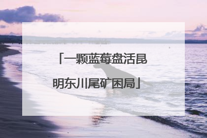 一颗蓝莓盘活昆明东川尾矿困局