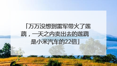 万万没想到雷军带火了莲藕，一天之内卖出去的莲藕是小米汽车的22倍