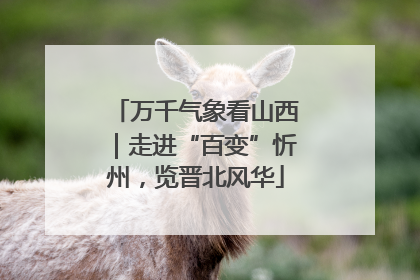 万千气象看山西｜走进“百变”忻州，览晋北风华