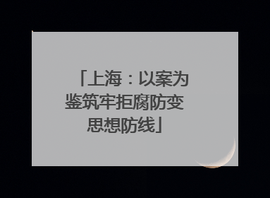 上海：以案为鉴筑牢拒腐防变思想防线