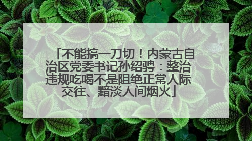 不能搞一刀切！内蒙古自治区党委书记孙绍骋：整治违规吃喝不是阻绝正常人际交往、黯淡人间烟火