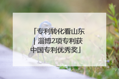 专利转化看山东｜淄博2项专利获中国专利优秀奖