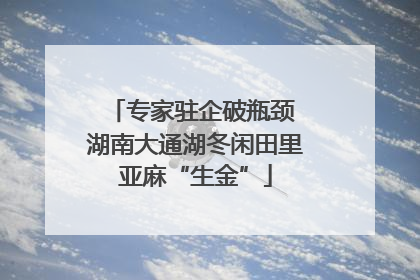 专家驻企破瓶颈 湖南大通湖冬闲田里亚麻“生金”