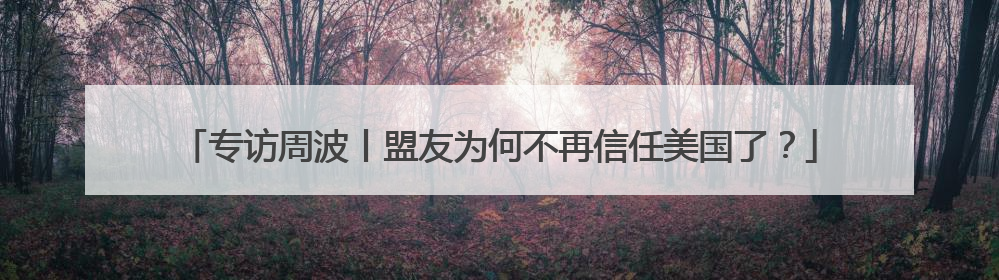 专访周波丨盟友为何不再信任美国了？