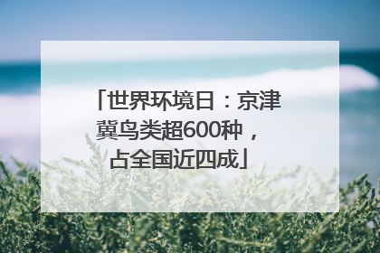 世界环境日：京津冀鸟类超600种，占全国近四成