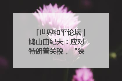 世界和平论坛｜鸠山由纪夫：应对特朗普关税，“狭路相逢勇者胜”