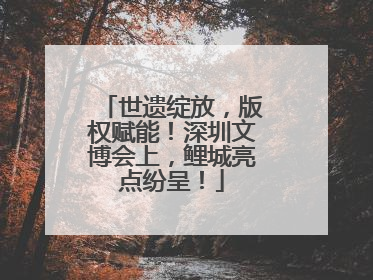 世遗绽放，版权赋能！深圳文博会上，鲤城亮点纷呈！