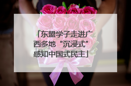 东盟学子走进广西多地“沉浸式”感知中国式民主
