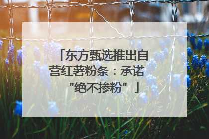 东方甄选推出自营红薯粉条：承诺“绝不掺粉”