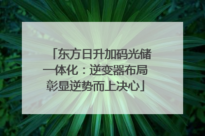 东方日升加码光储一体化：逆变器布局彰显逆势而上决心