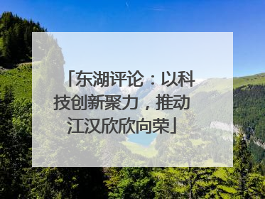 东湖评论：以科技创新聚力，推动江汉欣欣向荣