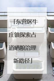 东营区牛庄镇探索占道晒粮治理新路径