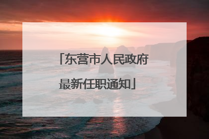 东营市人民政府最新任职通知