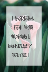 东象园林：精准施策 筑牢城市绿化抗旱坚实屏障