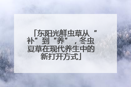 东阳光鲜虫草从“补”到“养”，冬虫夏草在现代养生中的新打开方式