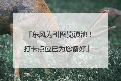 东风为引图览滇池！打卡点位已为您备好