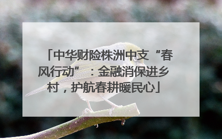 中华财险株洲中支“春风行动”：金融消保进乡村，护航春耕暖民心