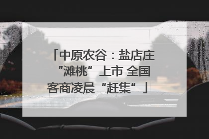 中原农谷：盐店庄“滩桃”上市 全国客商凌晨“赶集”