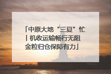 中原大地“三夏”忙丨机收运输畅行无阻 金粒归仓保障有力