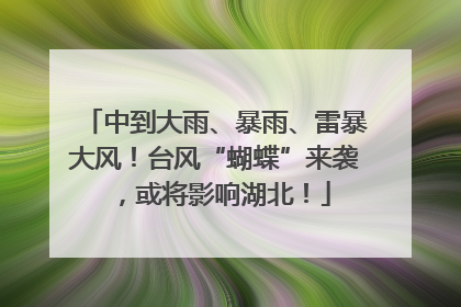 中到大雨、暴雨、雷暴大风！台风“蝴蝶”来袭，或将影响湖北！