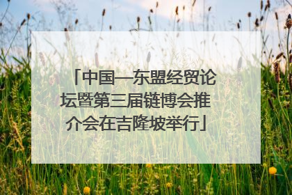 中国—东盟经贸论坛暨第三届链博会推介会在吉隆坡举行