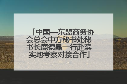 中国—东盟商务协会总会中方秘书处秘书长鹿德晶一行赴滨实地考察对接合作