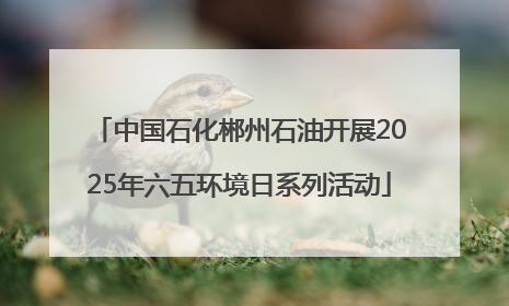 中国石化郴州石油开展2025年六五环境日系列活动