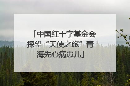 中国红十字基金会探望“天使之旅”青海先心病患儿