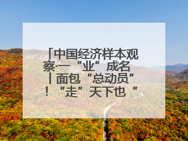 中国经济样本观察·一“业”成名丨面包“总动员”！“走”天下也“香”家乡