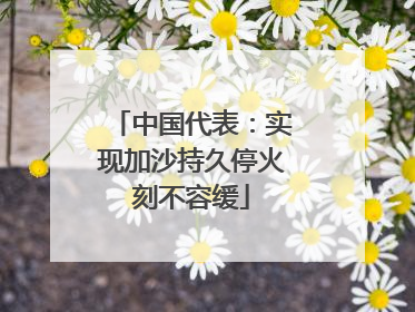 中国代表:实现加沙持久停火刻不容缓