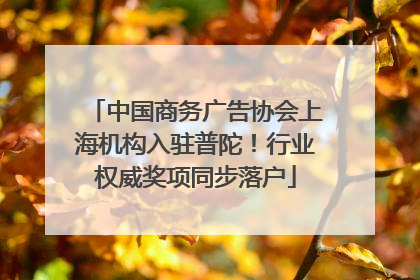 中国商务广告协会上海机构入驻普陀！行业权威奖项同步落户