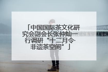 中国国际茶文化研究会副会长张仲灿一行调研“十二月令·非遗茶空间”