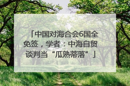 中国对海合会6国全免签，学者：中海自贸谈判当“瓜熟蒂落”