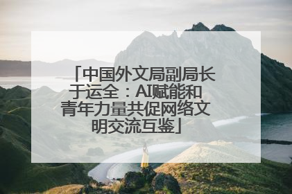 中国外文局副局长于运全：AI赋能和青年力量共促网络文明交流互鉴