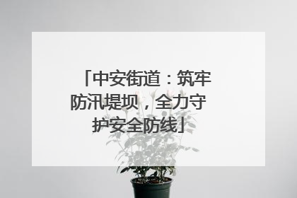 中安街道：筑牢防汛堤坝，全力守护安全防线